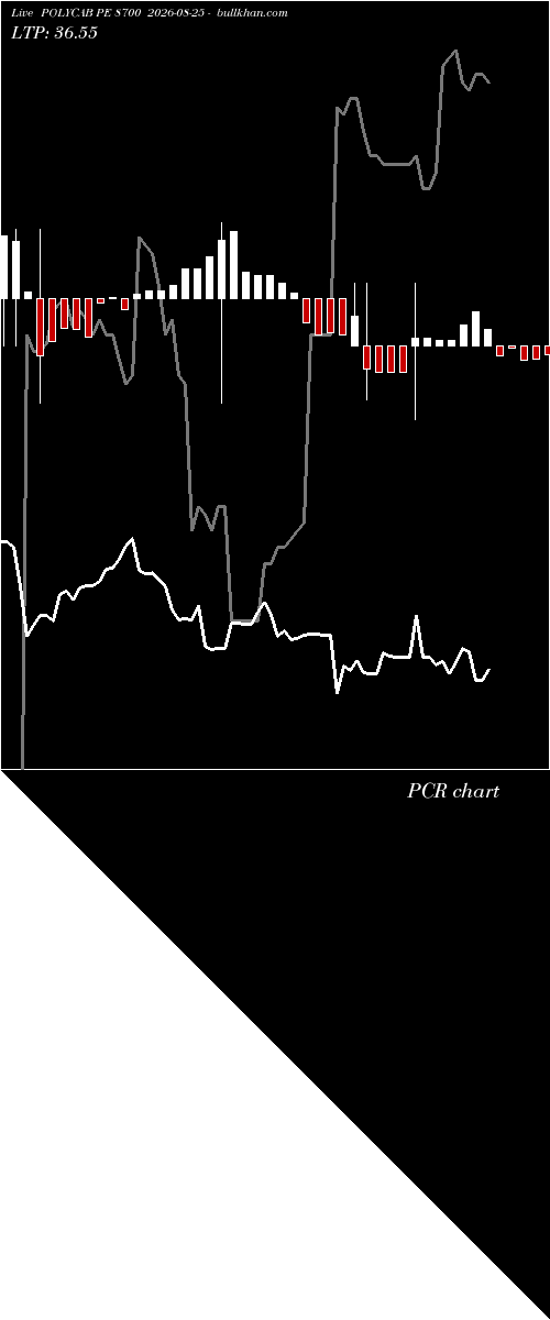  option chart POLYCAB PE 8700 2026-08-25 