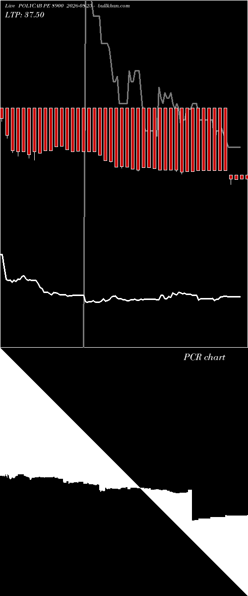  option chart POLYCAB PE 8900 2026-08-25 