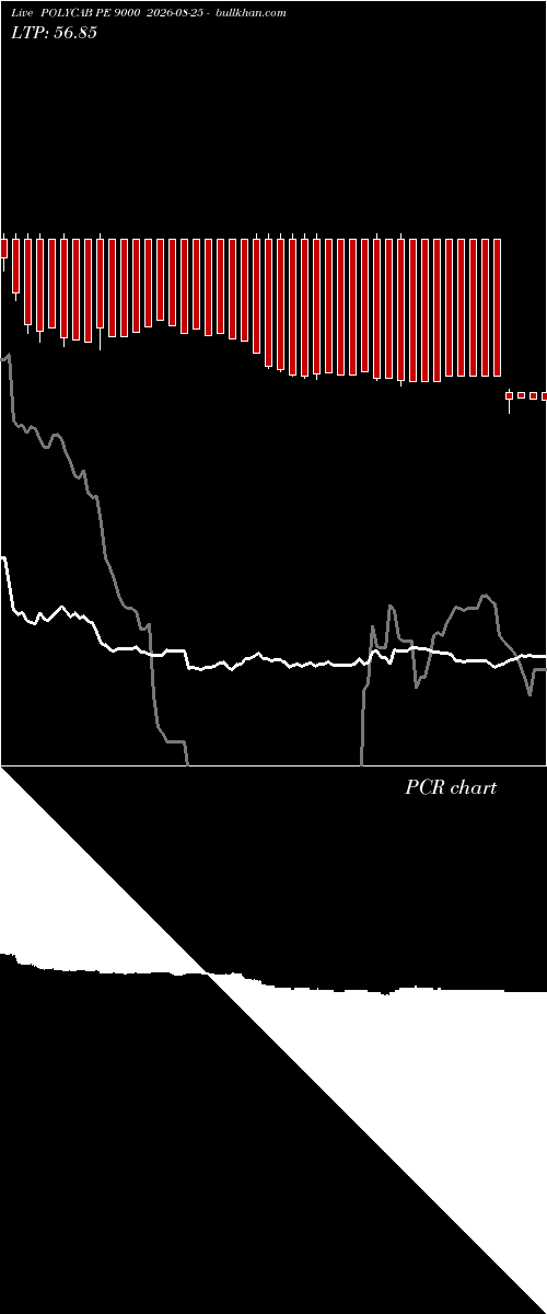  option chart POLYCAB PE 9000 2026-08-25 