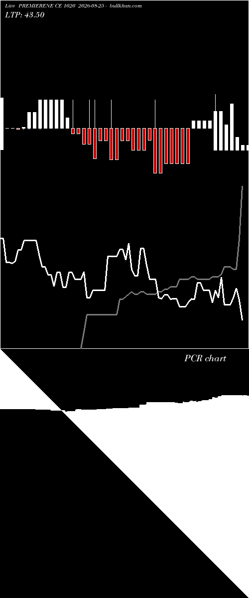  option chart PREMIERENE CE 1020 2026-08-25 