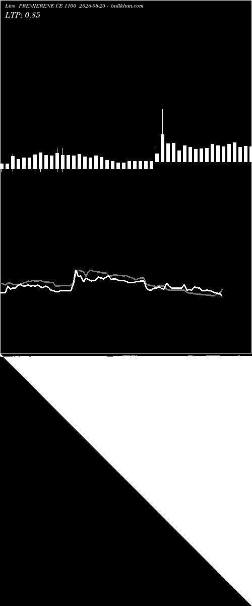  option chart PREMIERENE CE 1100 2026-08-25 