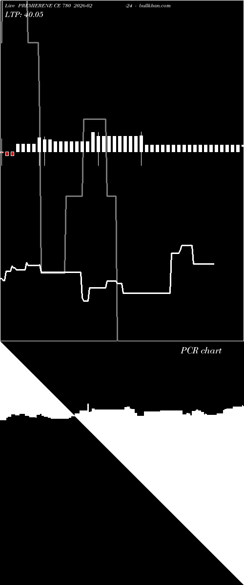  option chart PREMIERENE CE 730 2026-02-24 