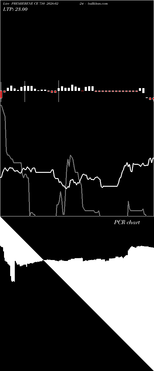  option chart PREMIERENE CE 750 2026-02-24 