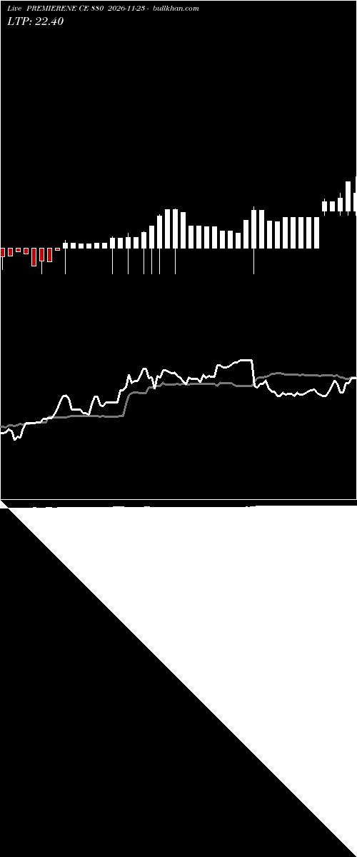  option chart PREMIERENE CE 880 2026-11-23 