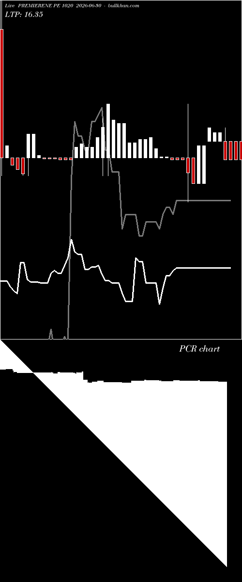  option chart PREMIERENE PE 1020 2026-06-30 