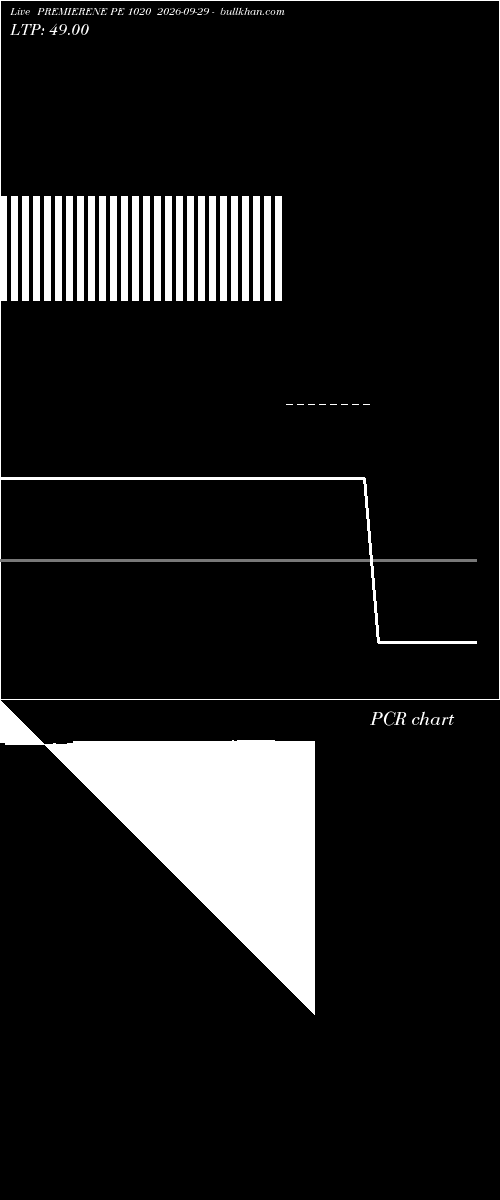  option chart PREMIERENE PE 1020 2026-09-29 