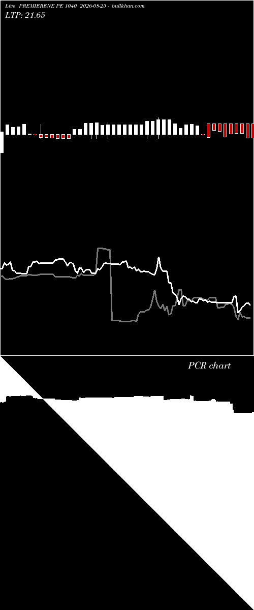  option chart PREMIERENE PE 1040 2026-08-25 