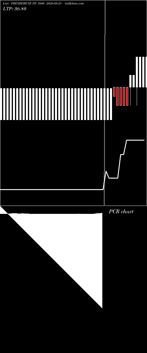  option chart PREMIERENE PE 1040 2026-08-25 