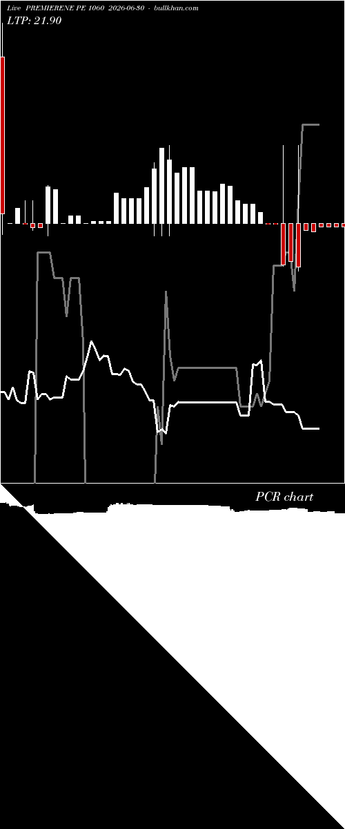  option chart PREMIERENE PE 1060 2026-06-30 