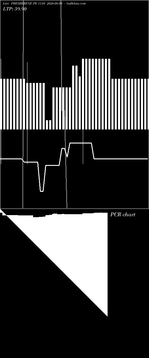  option chart PREMIERENE PE 1110 2026-06-30 