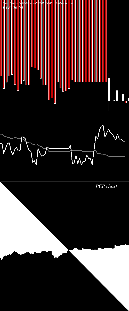  option chart PREMIERENE PE 700 2026-03-30 