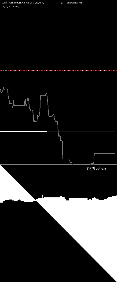  option chart PREMIERENE PE 730 2026-02-24 
