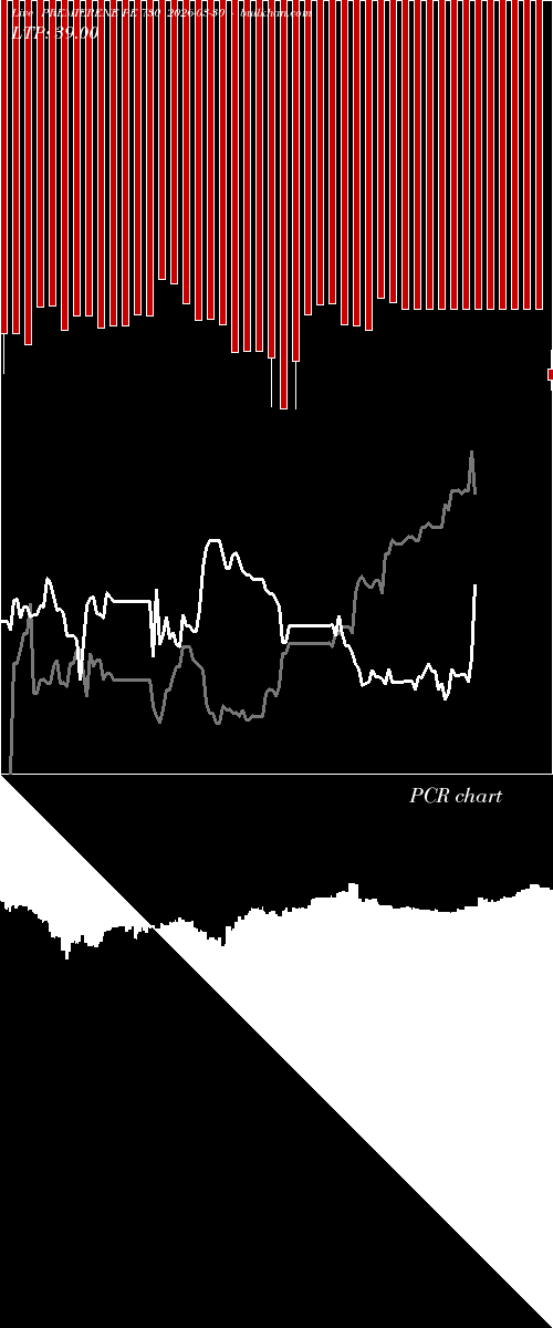  option chart PREMIERENE PE 730 2026-03-30 