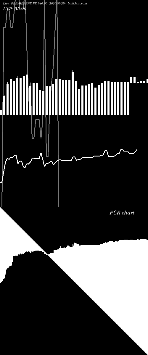  option chart PREMIERENE PE 940.00 2026-09-29 