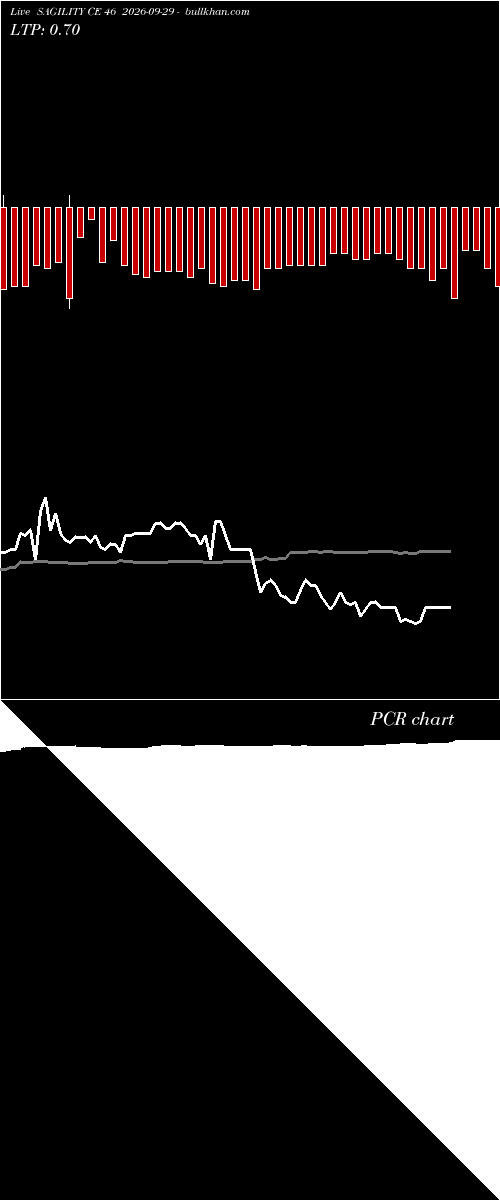  option chart SAGILITY CE 46 2026-09-29 
