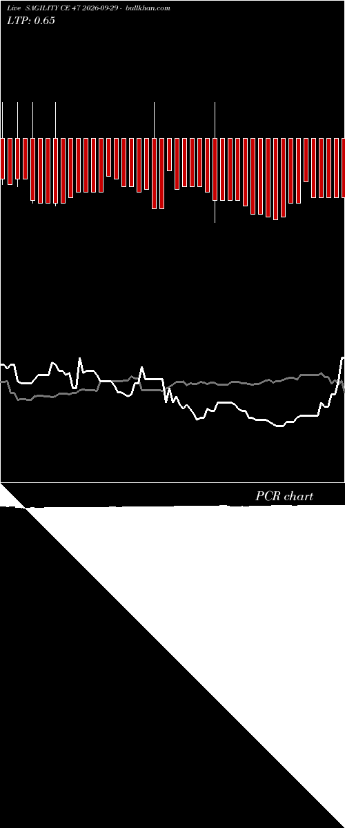 option chart SAGILITY CE 47 2026-09-29 
