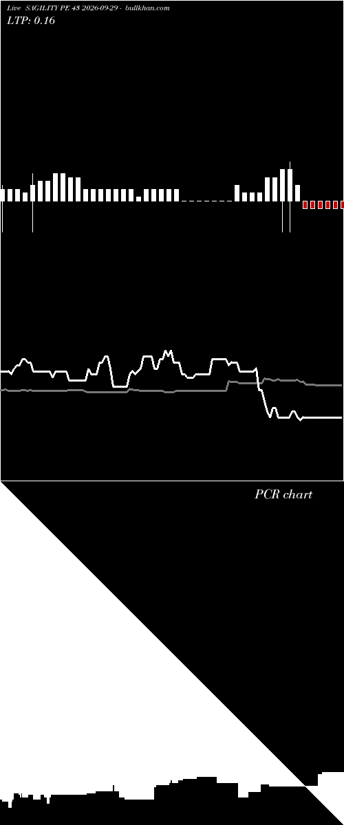  option chart SAGILITY PE 43 2026-09-29 