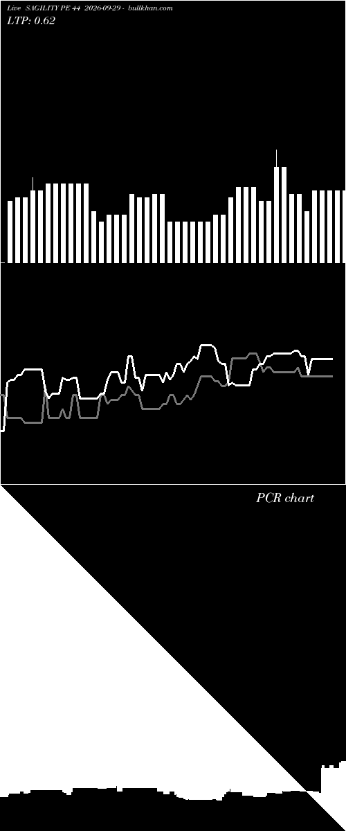  option chart SAGILITY PE 44 2026-09-29 