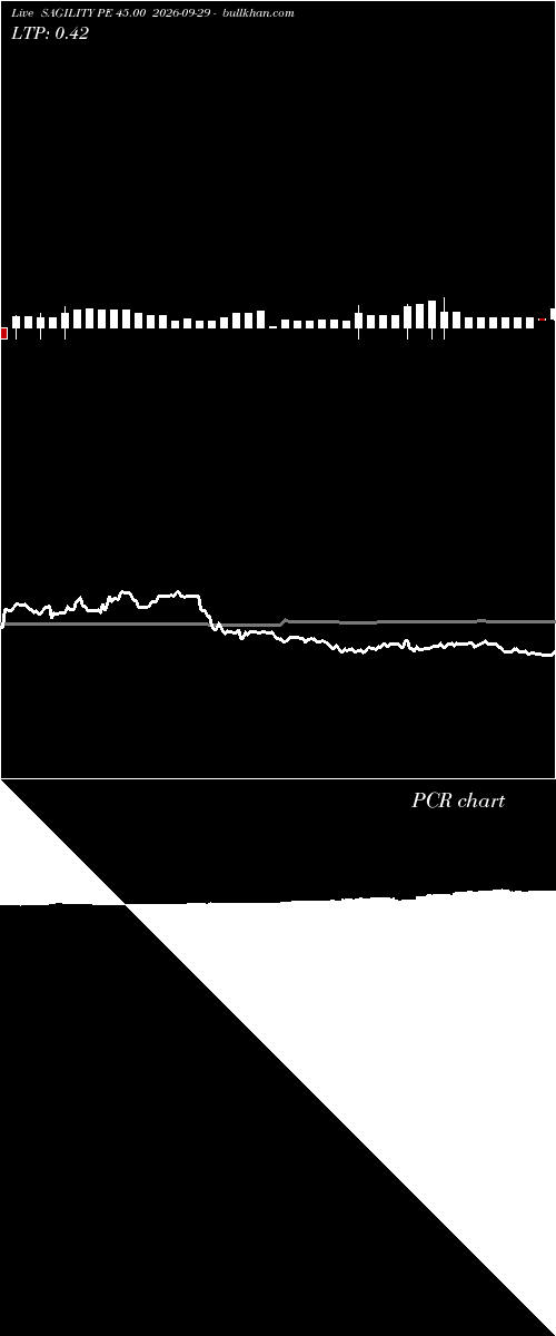  option chart SAGILITY PE 45.00 2026-09-29 