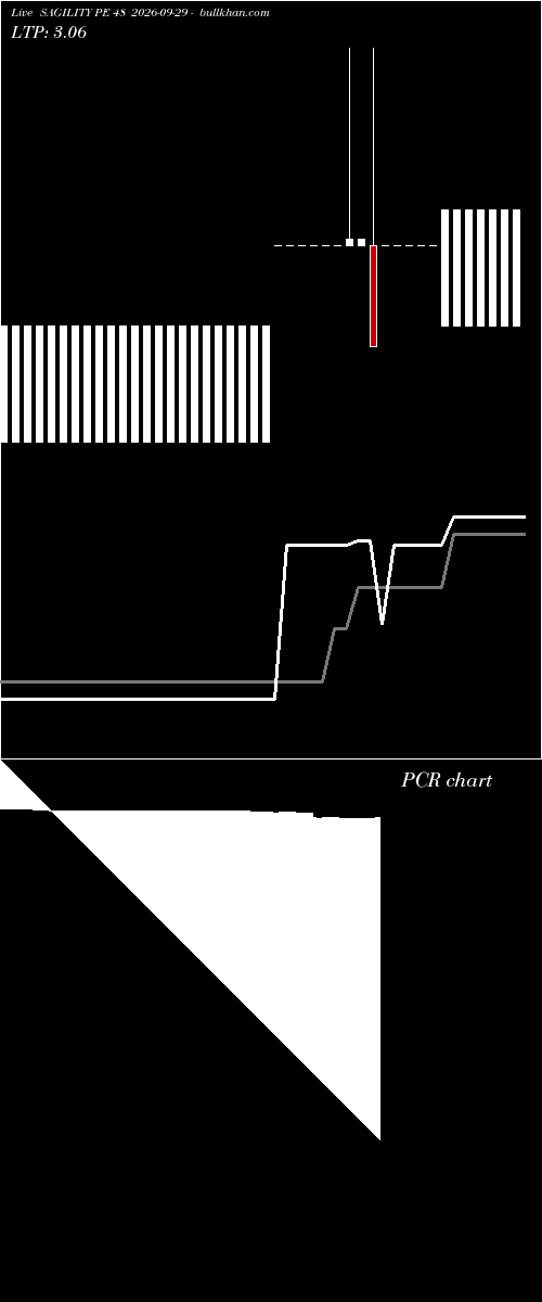  option chart SAGILITY PE 48 2026-09-29 