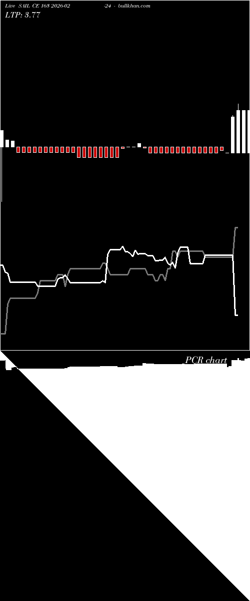  option chart SAIL CE 163 2026-02-24 