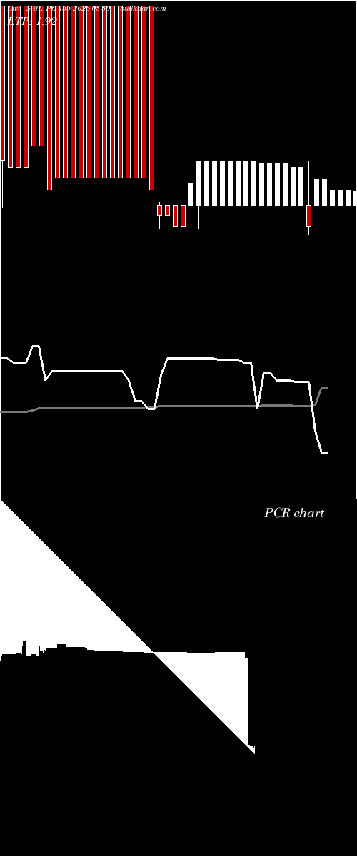  option chart SAIL PE 155 2026-03-30 