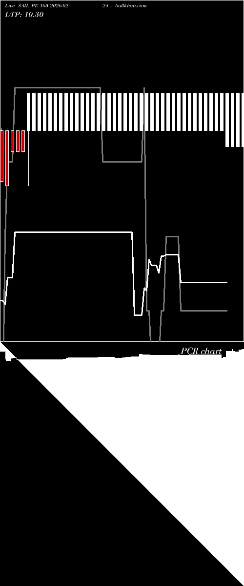  option chart SAIL PE 163 2026-02-24 
