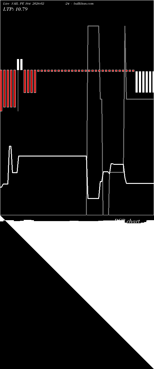 option chart SAIL PE 164 2026-02-24 