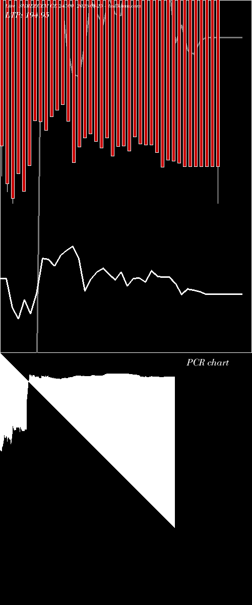  option chart SHREECEM CE 24500 2026-08-25 