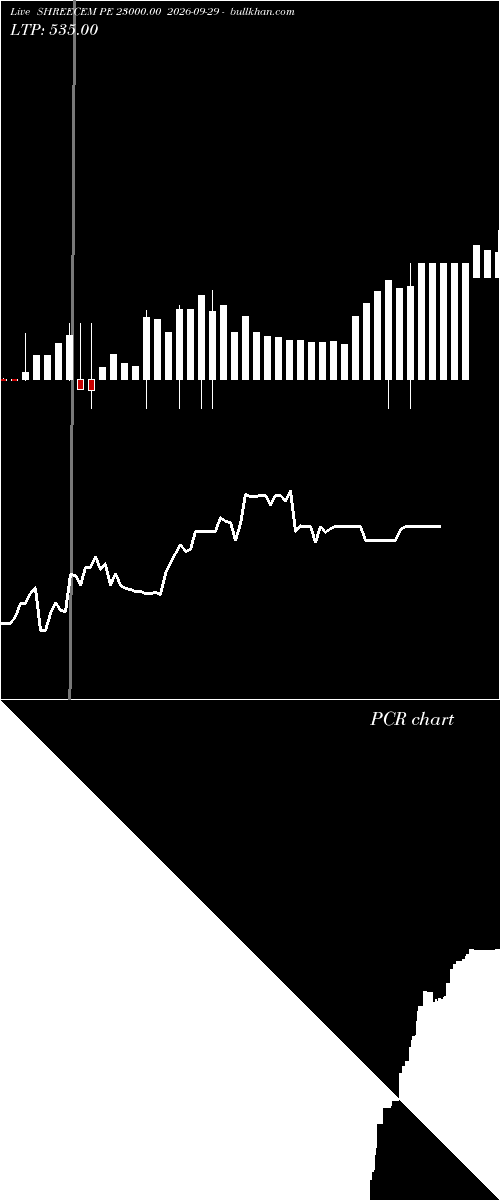  option chart SHREECEM PE 23000.00 2026-09-29 