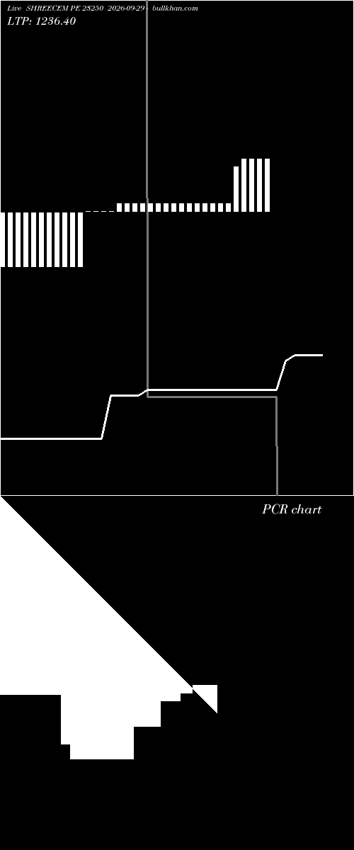  option chart SHREECEM PE 23250 2026-09-29 