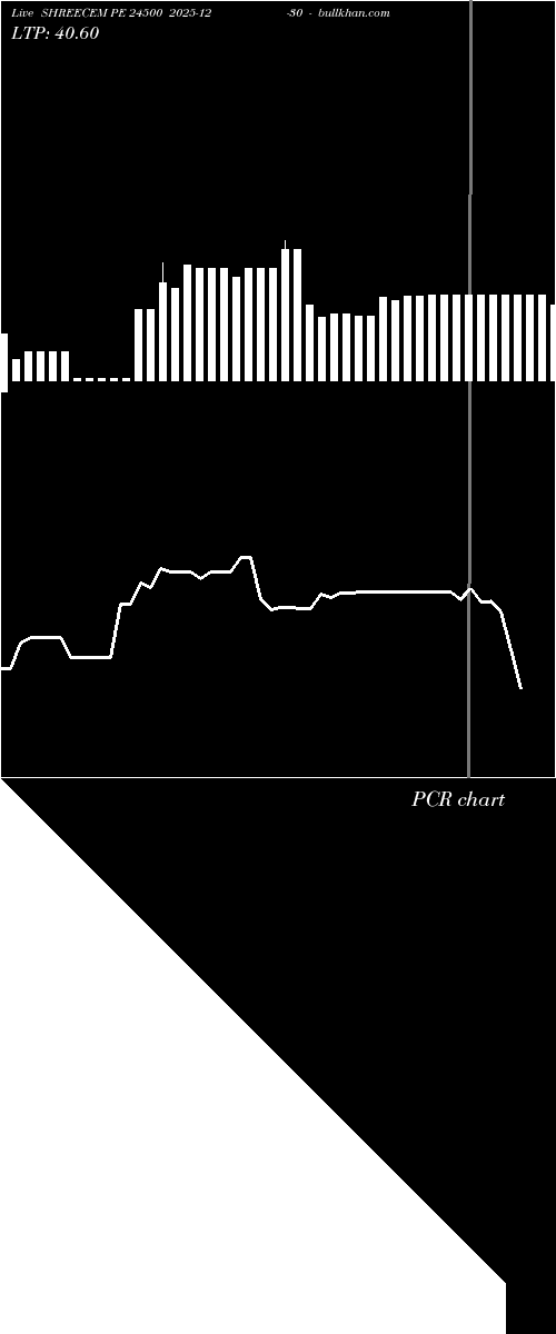  option chart SHREECEM PE 24500 2025-12-30 