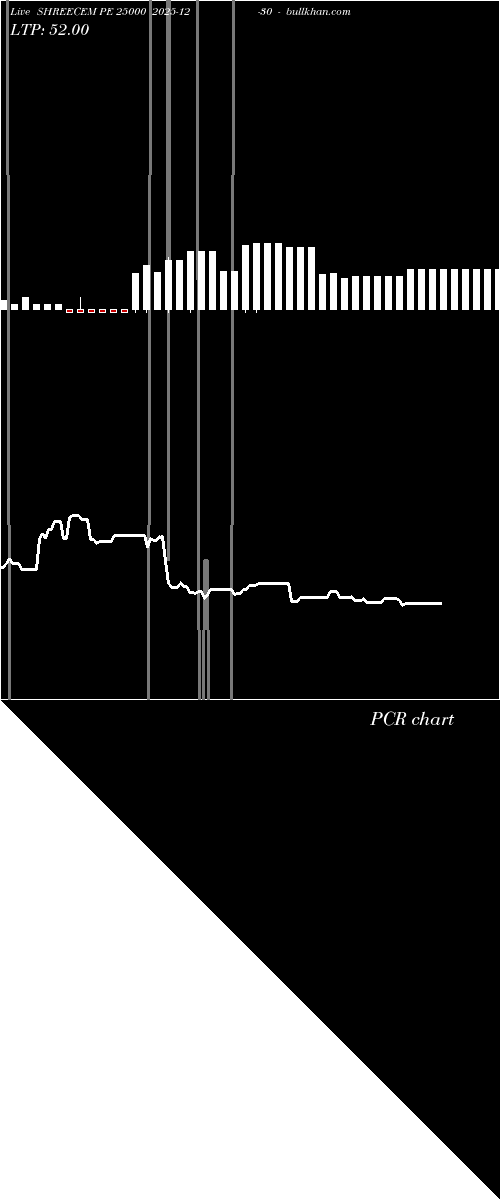  option chart SHREECEM PE 25000 2025-12-30 