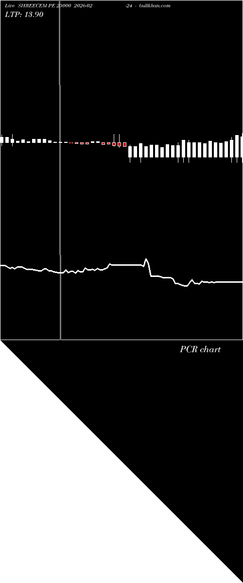  option chart SHREECEM PE 25000 2026-02-24 