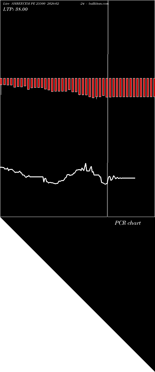  option chart SHREECEM PE 25500 2026-02-24 