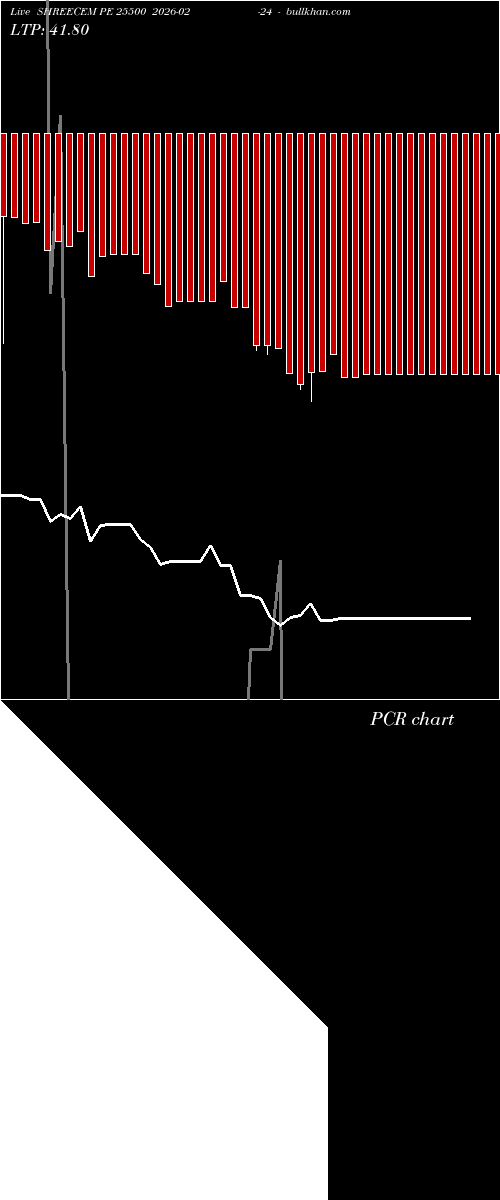  option chart SHREECEM PE 25500 2026-02-24 