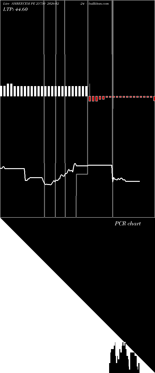  option chart SHREECEM PE 25750 2026-02-24 