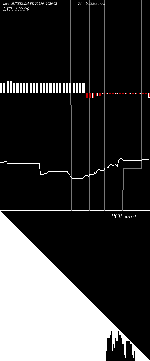  option chart SHREECEM PE 25750 2026-02-24 