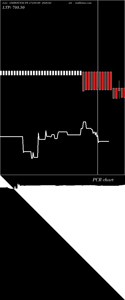  option chart SHREECEM PE 27250.00 2026-02-24 