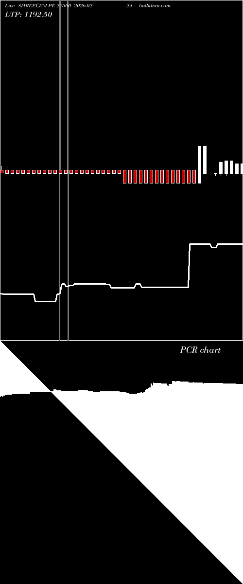  option chart SHREECEM PE 27500 2026-02-24 
