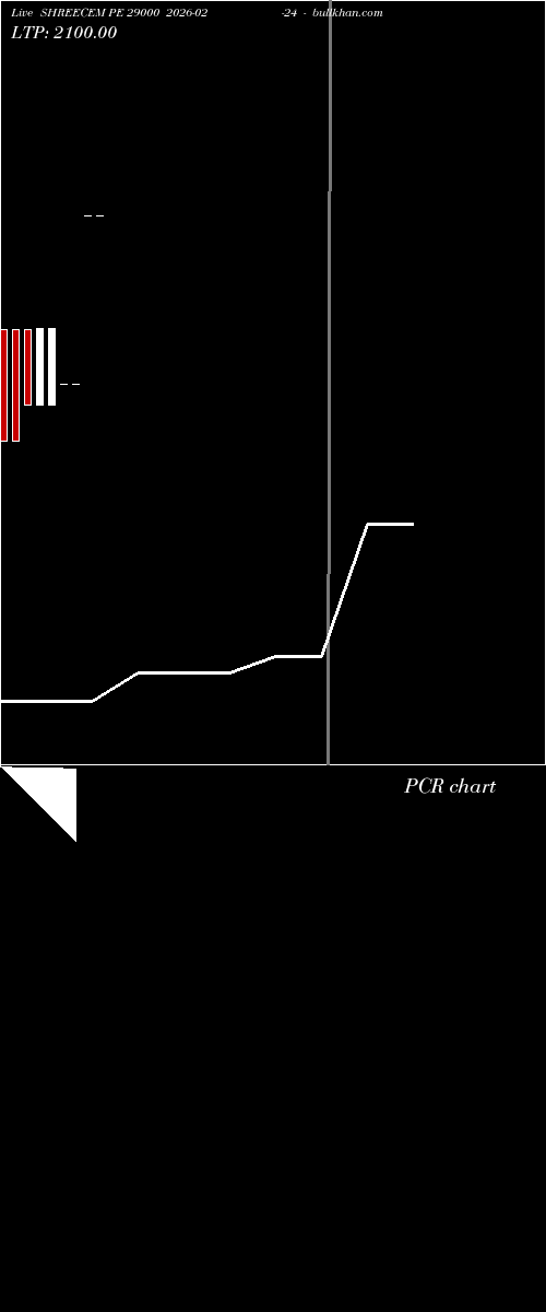  option chart SHREECEM PE 29000 2026-02-24 