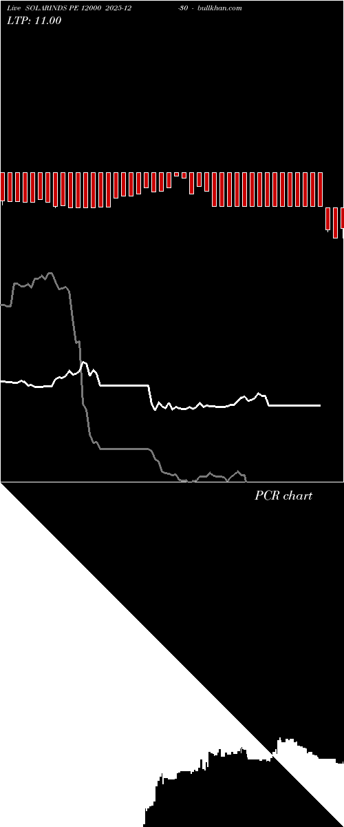  option chart SOLARINDS PE 12000 2025-12-30 