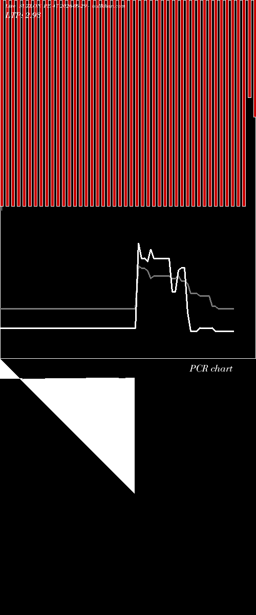  option chart SUZLON PE 47 2026-09-29 