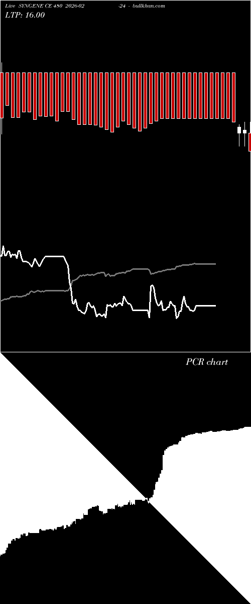  option chart SYNGENE CE 480 2026-02-24 