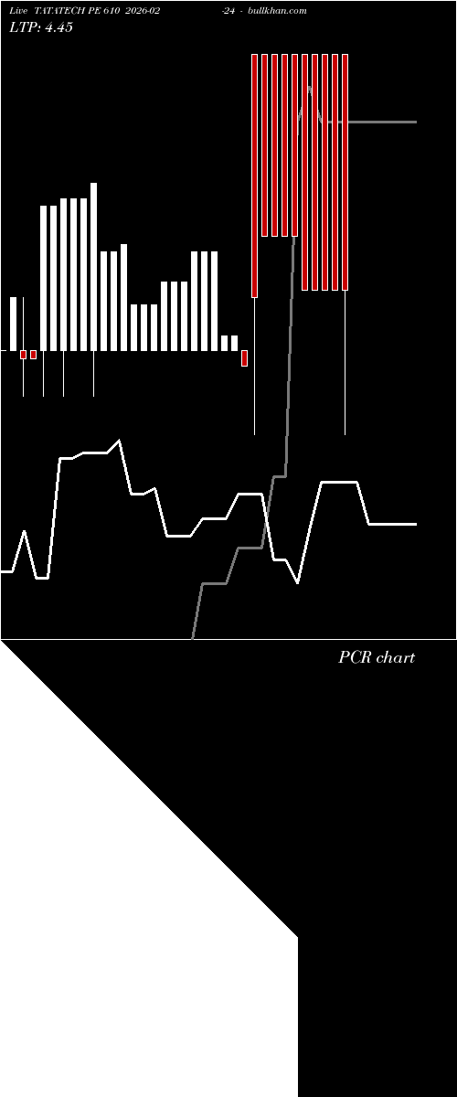  option chart TATATECH PE 610 2026-02-24 