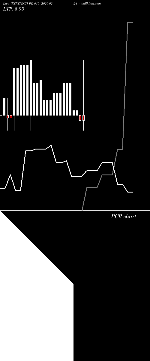  option chart TATATECH PE 610 2026-02-24 
