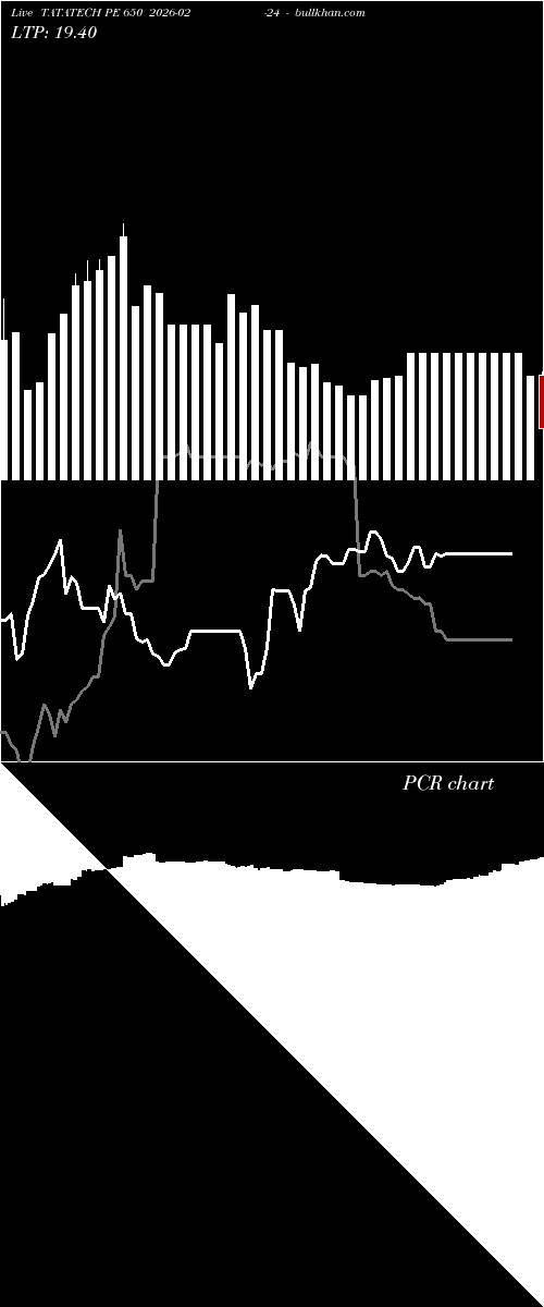  option chart TATATECH PE 650 2026-02-24 