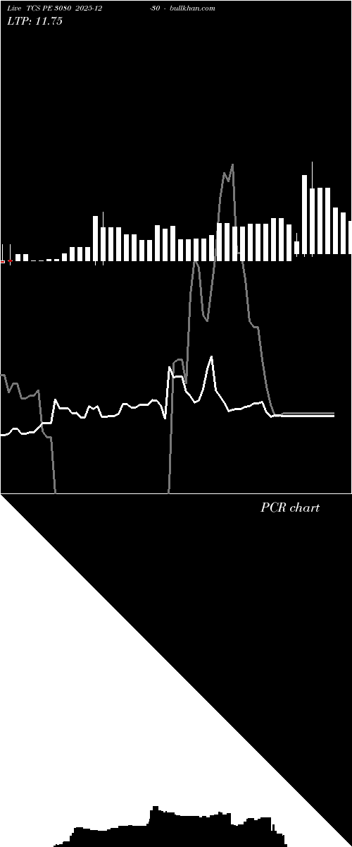  option chart TCS PE 3080 2025-12-30 