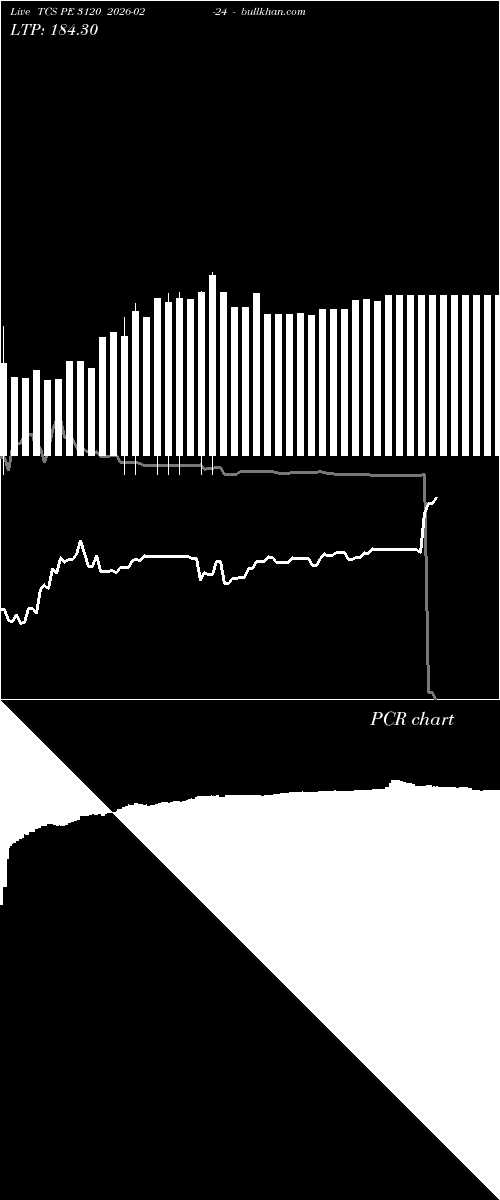  option chart TCS PE 3120 2026-02-24 