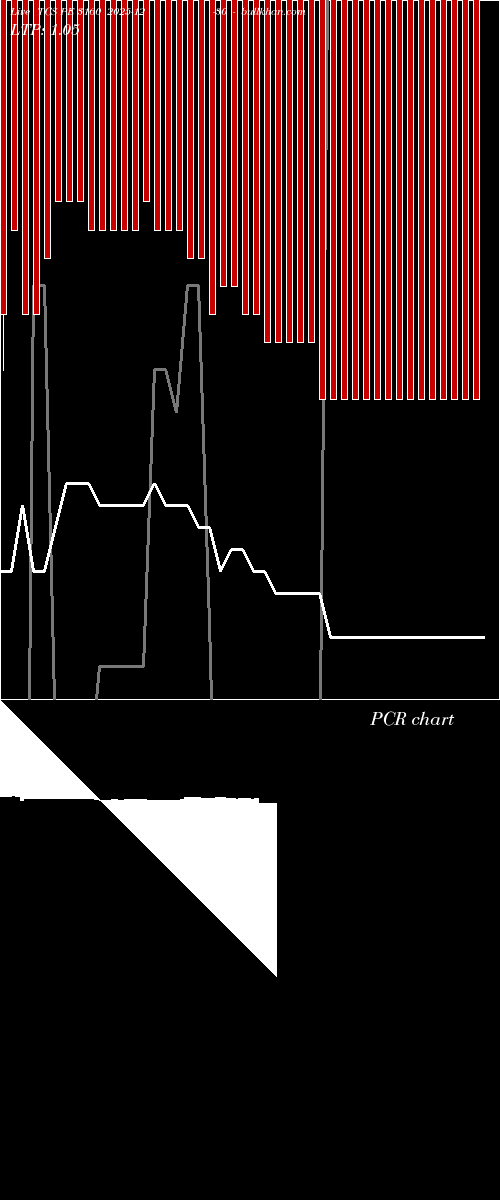  option chart TCS PE 3160 2025-12-30 